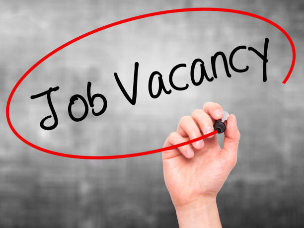 Server Administrator & IT Officer